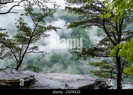 New River Gorge National Park, West Virginia. Blick über die New River Gorge an einem regnerischen Tag vom Endless Wall Trail. Stockfoto