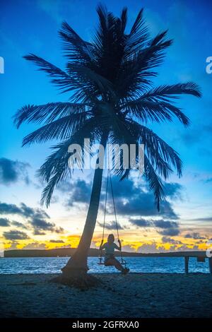 Eine Frau, die bei Sonnenaufgang von einer Palme schwingt - Puerto Rico Stockfoto