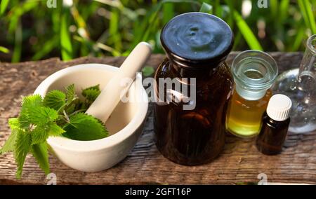 Natürliche Heilmittel - frische Kräuter. Natürliche Medikamente, Aromatherapie-Bach. Stockfoto