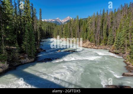 Rasante Flusslauf-Landschaft in den Rocky Mountains, Kanada. Stockfoto