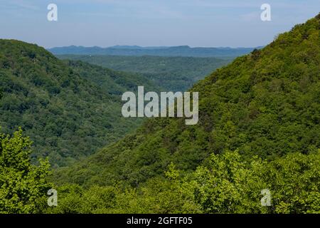 West Virginia. Appalachian Blick nordwestlich vom Babcock Mill State Park. Stockfoto