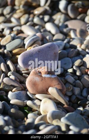 Glatte runde Kieselsteine Textur Hintergrund. Kieselmeer Stockfoto