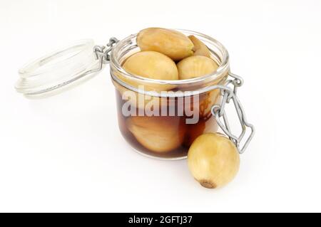 Vorratsglas gefüllt mit eingelegten Zwiebeln in Malzessig Stockfoto