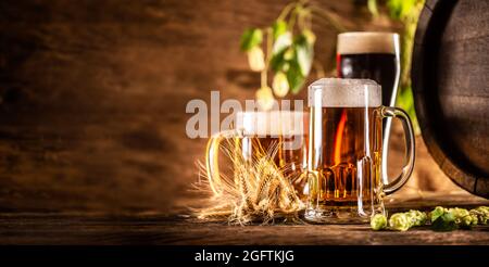 Drei Gläser Bier vom Fass vor einem Holzfass. Dekoration von Gerstenohren und frischem Hopfen. Stockfoto