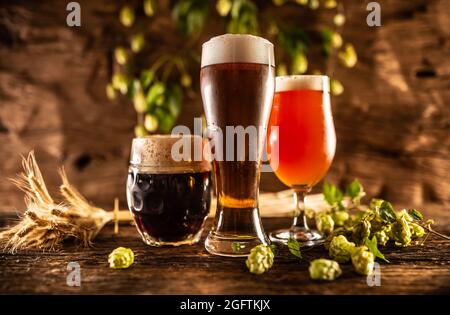 Drei Gläser mit Tiefgang, dunkel und rot vor einem Holzfass. Dekoration von Gerstenohren und frischem Hopfen. Stockfoto