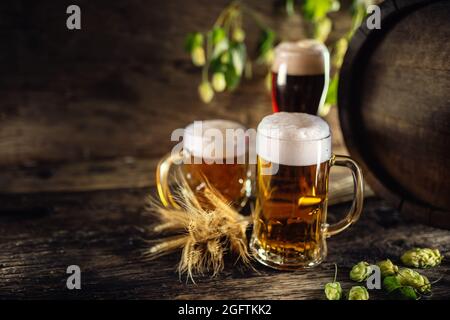 Drei Gläser Bier vom Fass vor einem Holzfass. Dekoration von Gerstenohren und frischem Hopfen. Stockfoto