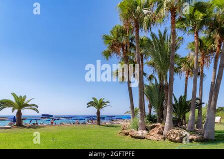 Palmen am tropischen Strand in Ayia Napa, Zypern. Stockfoto