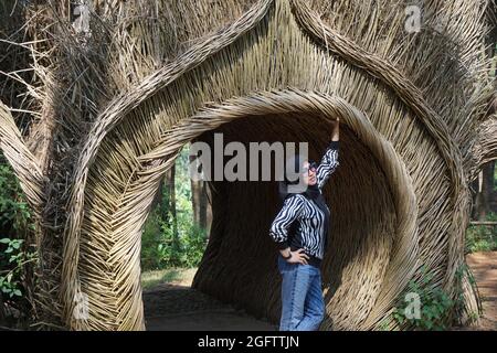 Drei Mädchen schießen von hinten in Pinus Penger, Yogyakarta Stockfoto