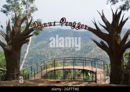 Drei Mädchen schießen von hinten in Pinus Penger, Yogyakarta Stockfoto