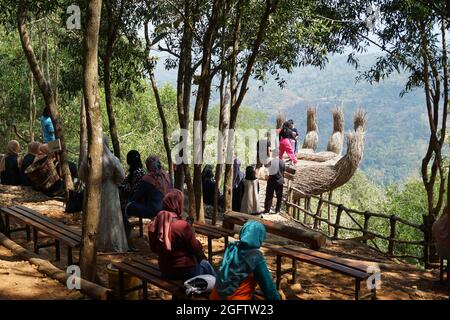 Drei Mädchen schießen von hinten in Pinus Penger, Yogyakarta Stockfoto