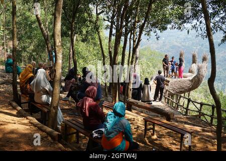 Drei Mädchen schießen von hinten in Pinus Penger, Yogyakarta Stockfoto