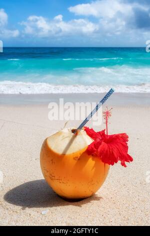 Frische Kokosnuss mit tropischem Saft auf weißem Sand am tropischen Strand. Sommerurlaub und tropisches Strandkonzept. Stockfoto