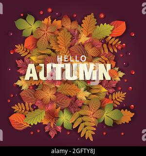 hallo Herbst stilvolle Hintergrund schmücken mit Blättern und Früchten. Web-Banner. Vektorgrafik Poster Vorlage Design. Stock Vektor