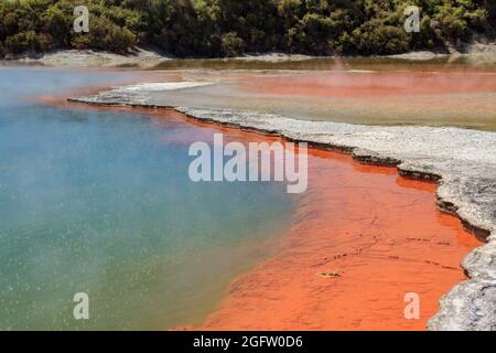 Der Champagne Pool in der Waiotapu Geothermie-Region, Neuseeland, benannt nach den Blasen, die ständig aus ihm steigen Stockfoto