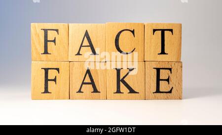 Das Wort Fact oder Fake wurde aus Holzwürfeln erschaffen. Stockfoto