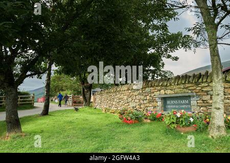 An einem Sommertag fiel der Eingang zum Burns-Bauernhofwagen und zum Campingplatz auf einem Feld im Seengebiet gegenüber der Blencathra (Saddleback). Stockfoto