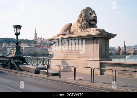 Sitzende Löwenstatue an der Kettenbrücke oder széchenyi Lánchíd über die Donau in Budapest, Ungarn Stockfoto