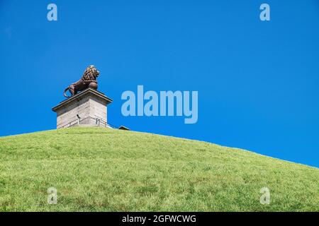 Löwe von Waterloo oder Löwenhügel in Belgien auf dem grünen Hügel vor einem klaren blauen Himmel Stockfoto