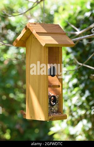 Ein Vogelfutterhäuschen aus Holz in Form eines Hauses, das an einem Baum hängt Stockfoto