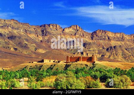 Kasbah (befestigtes Dorf) auf dem Hügel im Tal des Flusses Draa, Marokko, Draa Tal, Kasbah Stockfoto