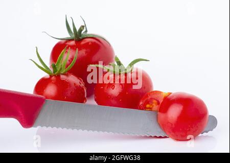 Gartentomate (Solanum lycopersicum, Lycopersicon esculentum), Tomaten mit einem Messer, eine halbiert Stockfoto