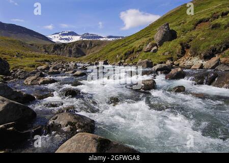 Schnell fließender Gebirgsbach, der von den Hügeln über dem Faskrudsfjordur in den Ostfjorden, Island, herabkommt Stockfoto