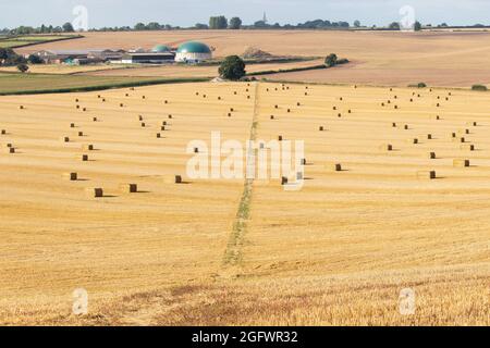 Die Sommerernte findet in Orton on the Hill, Leicestershire, statt. Heuballen sitzen ordentlich auf einem großen Feld in der Nähe von Norton Lane und warten darauf, auf Anhänger geladen zu werden. Stockfoto