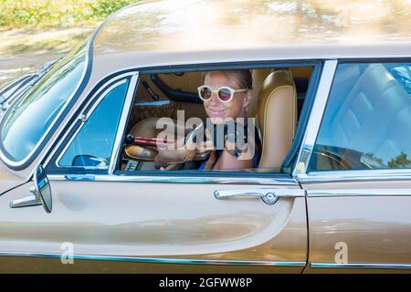 Lächelnde Frau mit Welpen im Auto Stockfoto