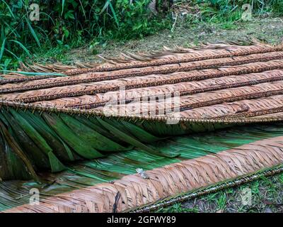 Dach aus einem Palmenblatt, um Holzhäuser im Amazonaswald zu bedecken. Amazonien, Brasilien, Südamerika. Stockfoto