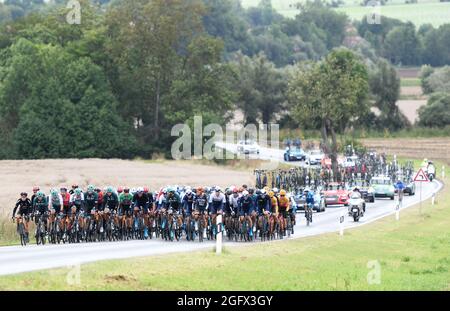 Sangerhausen, Deutschland. August 2021. Radsport: Deutschland-Rundfahrt, Etappe 2, Sangerhausen - Ilmenau. Das Feld ist auf dem Weg. Quelle: Bernd Thissen/dpa/Alamy Live News Stockfoto