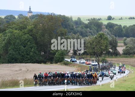 Sangerhausen, Deutschland. August 2021. Radsport: Deutschland-Rundfahrt, Etappe 2, Sangerhausen - Ilmenau. Das Feld ist auf dem Weg. Quelle: Bernd Thissen/dpa/Alamy Live News Stockfoto