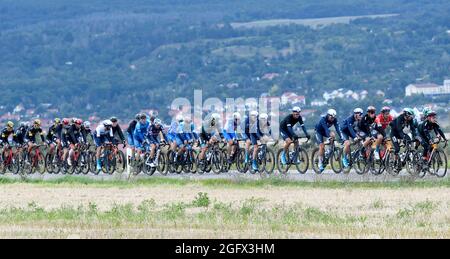 Sangerhausen, Deutschland. August 2021. Radsport: Deutschland-Rundfahrt, Etappe 2, Sangerhausen - Ilmenau. Das Feld ist auf dem Weg. Quelle: Bernd Thissen/dpa/Alamy Live News Stockfoto