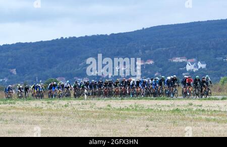 Sangerhausen, Deutschland. August 2021. Radsport: Deutschland-Rundfahrt, Etappe 2, Sangerhausen - Ilmenau. Das Feld ist auf dem Weg. Quelle: Bernd Thissen/dpa/Alamy Live News Stockfoto