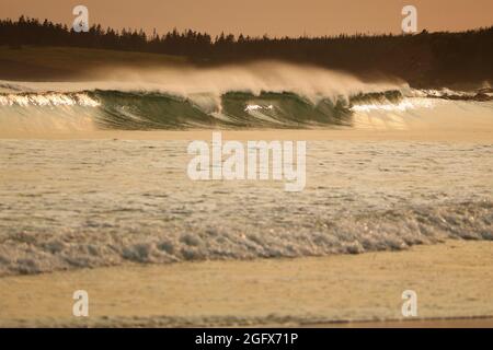 Wellen schlagen im Martinique Beach Provincial Park Stockfoto