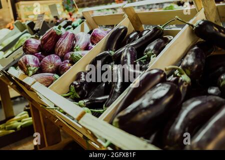 Auberginen befinden sich in Kisten auf der Theke eines Supermarkts oder Marktes Stockfoto
