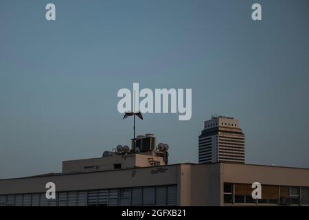 Izmir, Izmir, Türkei. August 2021. Bürogebäude in der Dämmerung. Alsancak ist eines der belebtesten Geschäftsviertel der Stadt und das älteste. (Bild: © Uygar Ozel/ZUMA Press Wire) Stockfoto