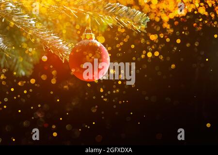 Rote weihnachtskugel auf einem Tannenzweig vor dunklem Hintergrund, mit vielen magischen goldenen Funkeln, Copyspace. Stockfoto