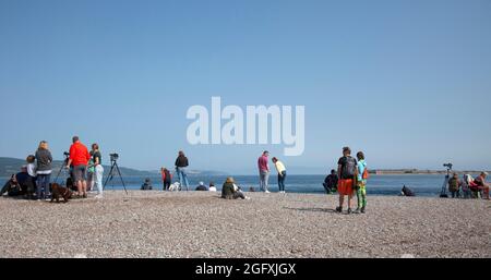 Fortrose Bay, Ross und Cromarty, Schottland, UK Wetter. August 2021. Sonnig nach einem nebligen Start für diese potenziellen Delfinbeobachter, aber leider hatten die Delfine einen freien Tag und kamen nicht für die vielen Fotografen und Touristen, die in den beliebten Aussichtsplatzbereich kamen, um sie zu sehen. Quelle: Arch White/Alamy Live News Stockfoto