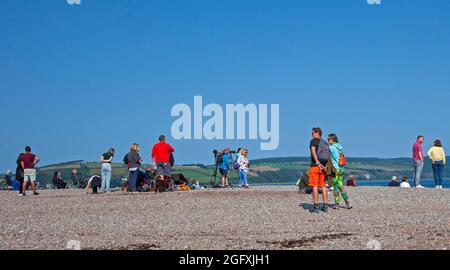 Fortrose Bay, Ross und Cromarty, Schottland, UK Wetter. August 2021. Sonnig nach einem nebligen Start für diese potenziellen Delfinbeobachter, aber leider hatten die Delfine einen freien Tag und kamen nicht für die vielen Fotografen und Touristen, die in den beliebten Aussichtsplatzbereich kamen, um sie zu sehen. Quelle: Arch White/Alamy Live News Stockfoto