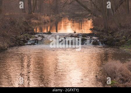 Ein Wasserfall auf einem kleinen Flachlandfluss, der durch einen Laubwald fließt. Spätherbst. Stockfoto