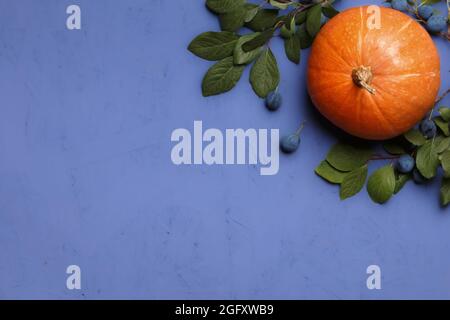Draufsicht auf Kürbis und Äste mit Schlehen auf violettem Hintergrund. Thanksgiving Halloween flach Lay Kopie Raum. Stockfoto
