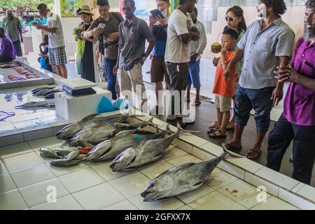 MALE, MALEDIVEN - 11. JULI 2016: Fisch zum Verkauf auf dem Fischmarkt in Male, Malediven. Stockfoto