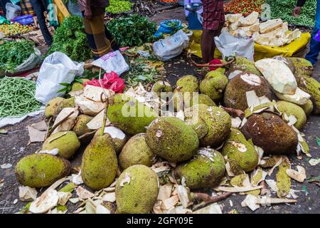 NUWARA ELIYA, SRI LANKA - 17. JULI 2016: Stapel von Jackfrüchten auf dem Markt in Nuwara Eliya. Stockfoto