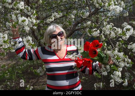 Halblanges Porträt einer lächelnden älteren Frau, die unter einem blühenden Kirschbaum mit roten Tulpen in ihren Händen steht. Stockfoto