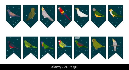 Flaggen Girlande für Geburtstagsfeier mit tropischen Vögeln auf buntem dunkelgrünen Hintergrund. Bunting mit Kakapo-Kakadus mit bronzenen Flügeln Papageien. Handgezeichnete Illustration für Kinder. Vektordesign-Set. Stock Vektor