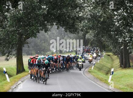 Sangerhausen, Deutschland. August 2021. Radsport: Deutschland-Rundfahrt, Etappe 2, Sangerhausen - Ilmenau. Das Feld ist auf dem Weg. Quelle: Bernd Thissen/dpa/Alamy Live News Stockfoto