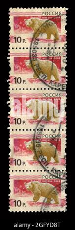 5 STÜCK IN Russland GEDRUCKTE STEMPELN zeigen das Bild des Bieres, um 2008. Stockfoto