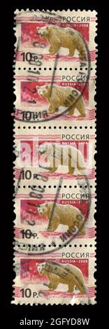 5 STÜCK IN Russland GEDRUCKTE STEMPELN zeigen das Bild des Bieres, um 2008. Stockfoto