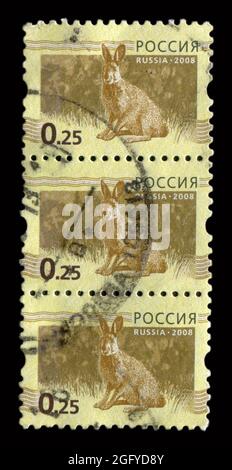 3 STÜCK IN Russland GEDRUCKTE STEMPELN zeigen das Bild des Hages, um 2008. Stockfoto