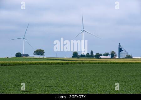 In Der Nähe Von Earlville, Iowa. Behälter für Windmühlen und Getreidelager. Sojabohnen und Cornfield im Vordergrund. Stockfoto